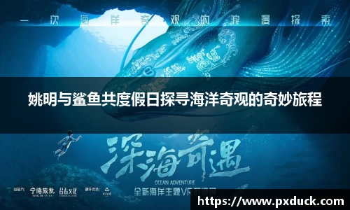 姚明与鲨鱼共度假日探寻海洋奇观的奇妙旅程