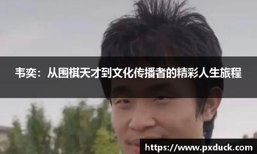 KY开元官方网站