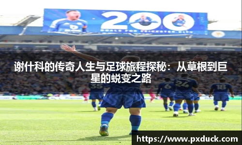 KY开元官方网站
